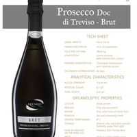 PROSECCO DOC DI TREVISO - BRUT Featured Image