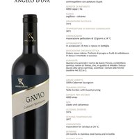 Gavio Cabernet-Sauvignon 2015 Featured Image