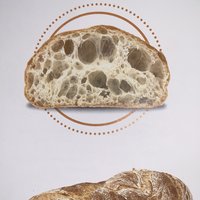 Ciabatta rustica Featured Image