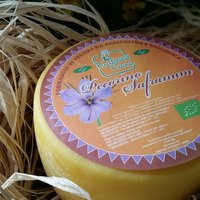 Pecorino Safranum Featured Image