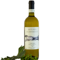 White IGT Tuscany Wine "Fattoria Montereggi" Featured Image
