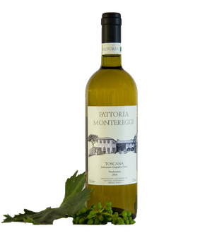 White IGT Tuscany Wine "Fattoria Montereggi" Featured Image
