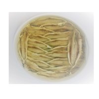 Marinated Anchovies. ( Boquerones), Butterfly . Featured Image