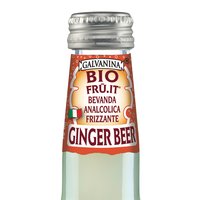 Organis Soft Drink - Ginger Beer Featured Image