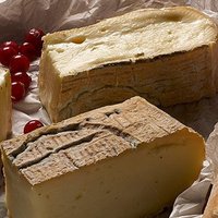 TALEGGIO Featured Image