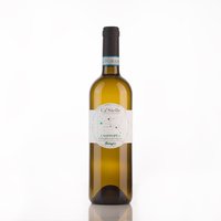 Cassyopea - Sannio Falanghina DOP Biologica Featured Image