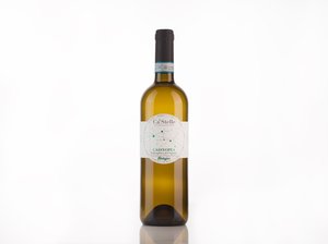 Cassyopea - Sannio Falanghina DOP Biologica Featured Image