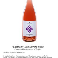 CASTRUM SAN SEVERO ROSATO DOP Featured Image