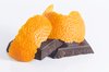 Modica Chocolate Bar with Orange Featured Image