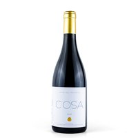 C'OSA - DOC TRASIMENO GAMAY Featured Image