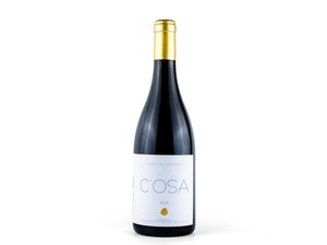 C'OSA - DOC TRASIMENO GAMAY Featured Image