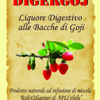 DIGERGOJ (Liquore Digestivo alle Bacche di Goji) Featured Image