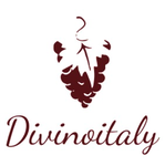 Divino Italy _ Divino wine group,  Italian wine & spirits artisans Logo