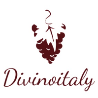 Divino Italy _ Divino wine group,  Italian wine & spirits artisans Logo