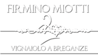 Firmino-logo-bianco-300x170.png