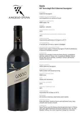 Gavio Cabernet-Sauvignon 2015 Featured Image