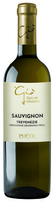 Sauvignon Trevenezie Igt Giò Featured Image