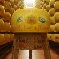 PARMIGIANO REGGIANO ORGANIC ANTIBIOTIC FREE BIOBOTTICELLO 36 months Featured Image