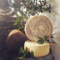 Pecorino Bio Gran Riserva Featured Image