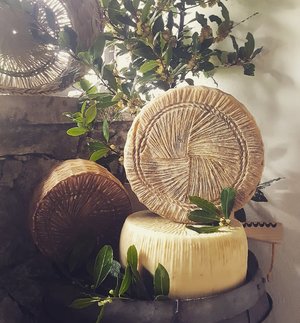 Pecorino Bio Gran Riserva Featured Image