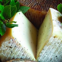 Pecorino Tartufo Featured Image