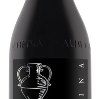 Nebbiolo d'Alba DOC 2017 La pipina (amphora) Featured Image