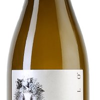 Langhe DOC Rossese Bianco 2018 Cyrogrillo Featured Image