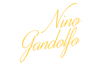 Nino Gandolfo Logo