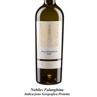 NOBILES FALANGHINA IGP Featured Image