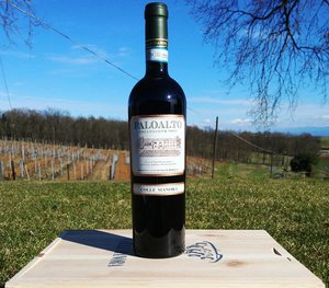 PALO ALTO - Piemonte DOC Pinot Nero Featured Image