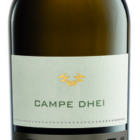 Pinot Grigio Doc Venezia Campe Dhei Featured Image