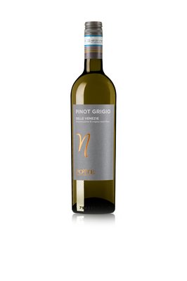 Pinot Grigio Doc Delle Venezie Ponte Featured Image