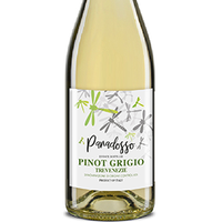 Paradosso - Pinot Grigio DOC Featured Image