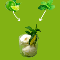 SORBETTO GOURMET AL MOJITO Featured Image