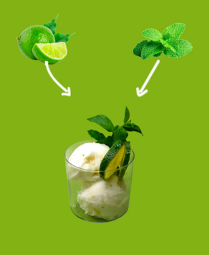 SORBETTO GOURMET AL MOJITO Featured Image