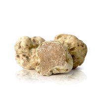 Tartufo Bianco Pregiato (Tuber Magnatum Pico) Featured Image