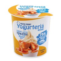 Yogurteria Merano - Frozen Yogurt Salted Caramel 160ml/80g Featured Image