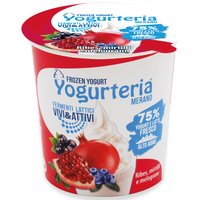 Yogurteria Merano - Frozen Yogurt Blackcurrant, blueberry and pomegranate 160ml/80g Featured Image