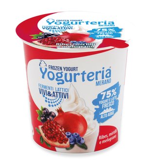 Yogurteria Merano - Frozen Yogurt Blackcurrant, blueberry and pomegranate 160ml/80g Featured Image