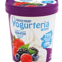 Yogurteria Merano - Frozen Yogurt Forest Fruits 500ml/250g Featured Image