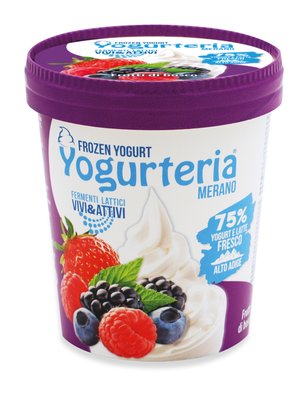 Yogurteria Merano - Frozen Yogurt Forest Fruits 500ml/250g Featured Image