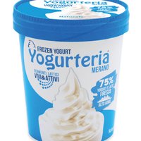 Yogurteria Merano - Frozen Yogurt Natural 500ml/250g Featured Image