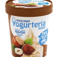 Yogurteria Merano - Frozen Yogurt Hazelnut 500ml/250g Featured Image