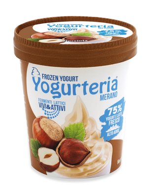 Yogurteria Merano - Frozen Yogurt Hazelnut 500ml/250g Featured Image