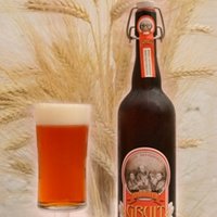 BIRRA BIO AMBRATA Featured Image