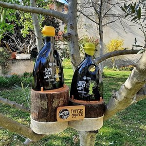 Premium Extra Virgin Olive Oil - Terras Gigurras - 250 ml Featured Image