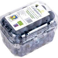 ORGANIC BLUEBERRIES Featured Image