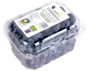 ORGANIC BLUEBERRIES Featured Image