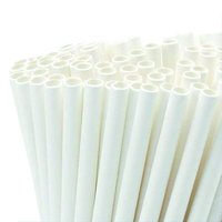 Biodegradable Paper Straws Featured Image
