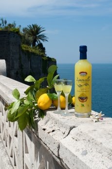Limoncello, Liquore di limoni IGP di Sorrento Featured Image